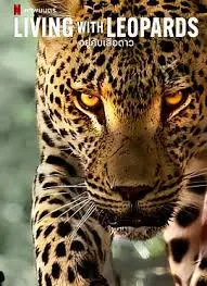 《豹崽同行》影评：一场关于成长与野性的治愈之旅，萌翻你的少女心！