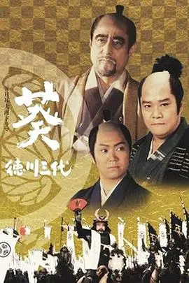 《葵德川三代》：权力斗争下的家族兴衰，解读德川幕府的建立与传承