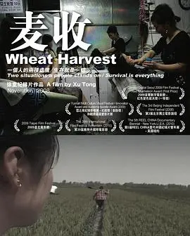 《麦收》：一场关于中国农村女性的诗意凝视，收割希望与无奈